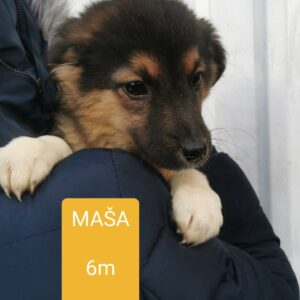 Mascha — Foto 3 / 11