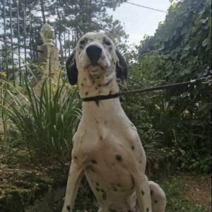 Matteo — Foto 10 / 14