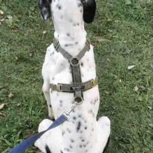 Matteo — Foto 3 / 14