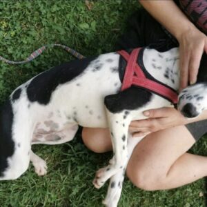 Noah — Foto 8 / 13