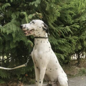 Matteo — Foto 14 / 14