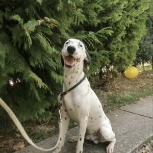 Matteo — Foto 12 / 14