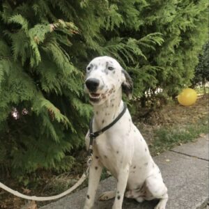 Matteo — Foto 13 / 14