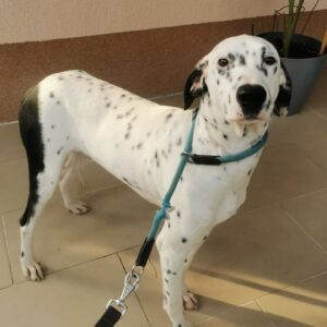 Matteo — Foto 6 / 14