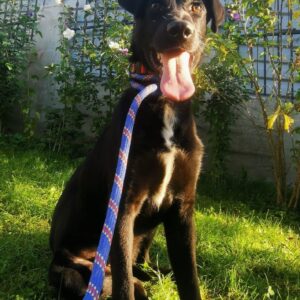 Coby — Foto 2 / 15