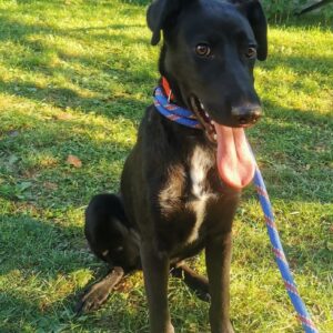 Coby — Foto 3 / 15