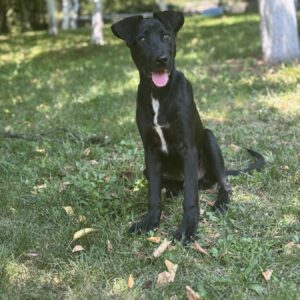 Coby — Foto 5 / 15