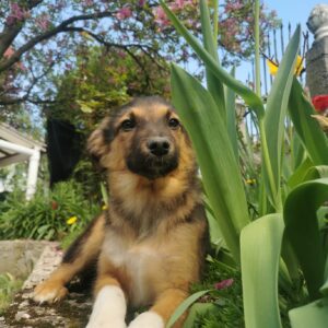 Mascha — Foto 7 / 11