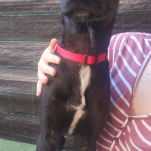 Coby — Foto 14 / 15