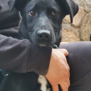 Coby — Foto 15 / 15