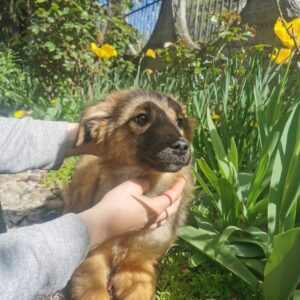 Luna — Foto 6 / 9