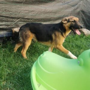 Mascha — Foto 5 / 11