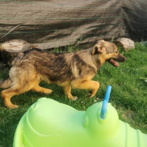 Luna — Foto 7 / 9