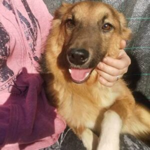 Mascha — Foto 1 / 11