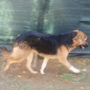 Mascha — Foto 2 / 11