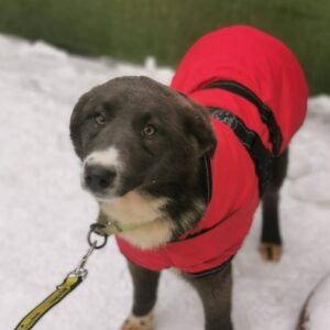 Maggie — Foto 2 / 5